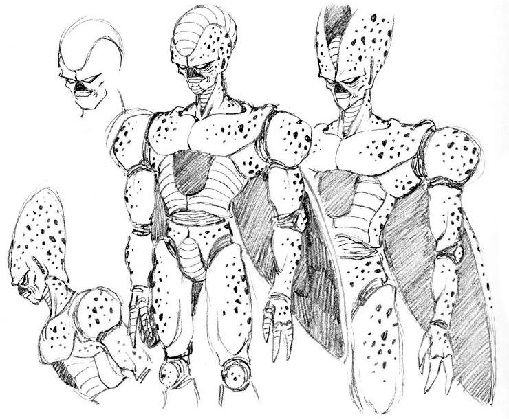 croquis